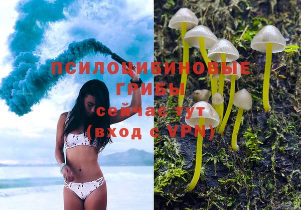 мяу мяу мука Аркадак