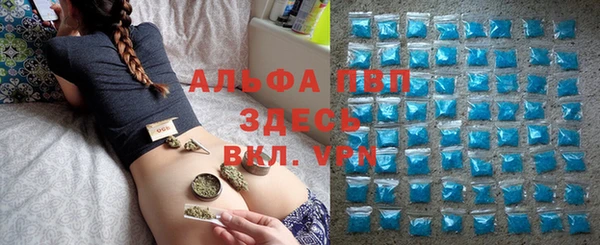 мяу мяу мука Аркадак