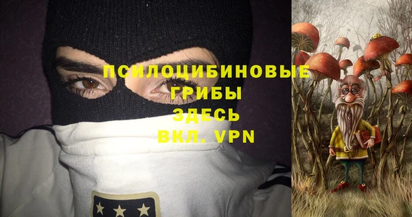 мяу мяу мука Аркадак